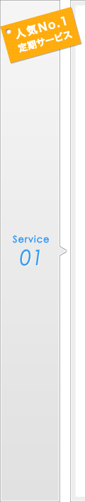 service01【人気No1定期サービス】